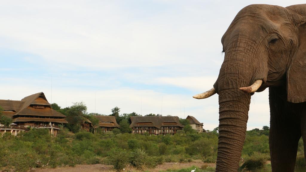 Victoria Falls Safari Suites Eksteriør bilde