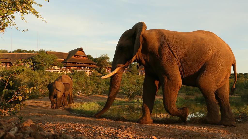 Victoria Falls Safari Suites Eksteriør bilde